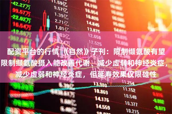 配资平台的行情 《自然》子刊：限制缬氨酸有望延寿！科学家发现，限制缬氨酸摄入能改善代谢、减少虚弱和神经炎症，但延寿效果仅限雄性
