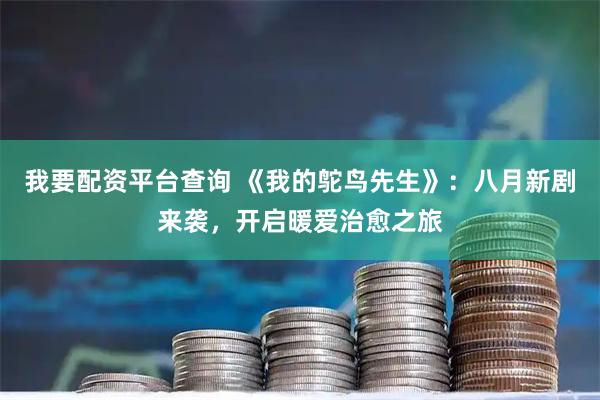我要配资平台查询 《我的鸵鸟先生》：八月新剧来袭，开启暖爱治愈之旅